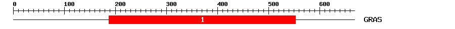 Signature Domain