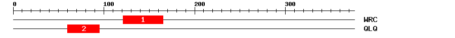 Signature Domain