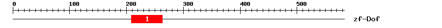 Signature Domain