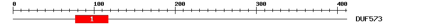 Signature Domain