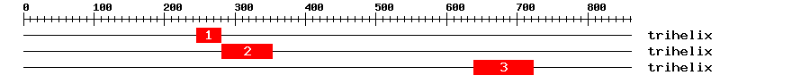Signature Domain
