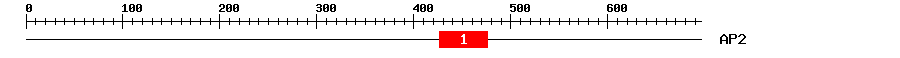 Signature Domain