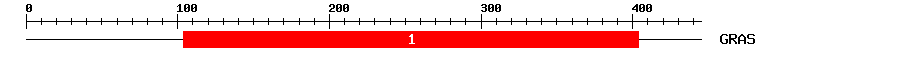 Signature Domain