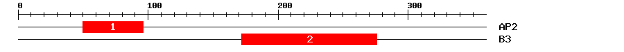 Signature Domain