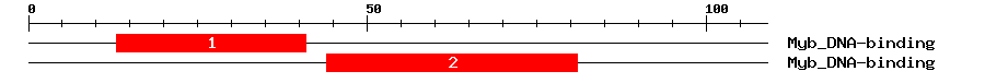 Signature Domain