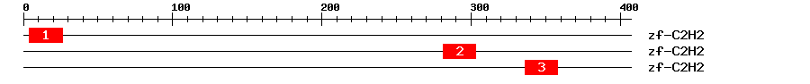 Signature Domain