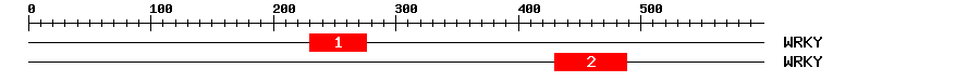 Signature Domain