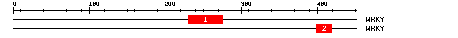 Signature Domain