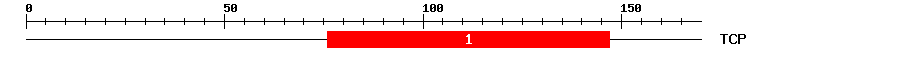 Signature Domain