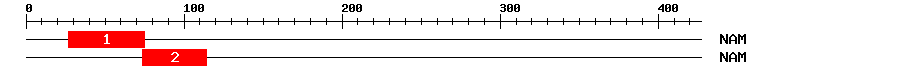 Signature Domain