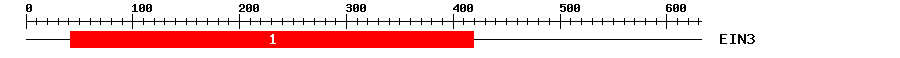 Signature Domain
