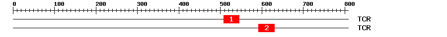 Signature Domain