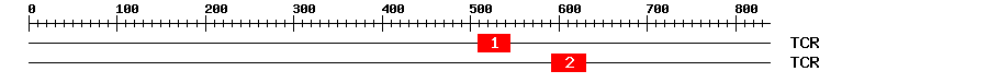 Signature Domain