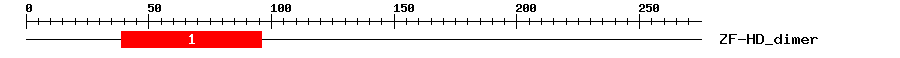 Signature Domain