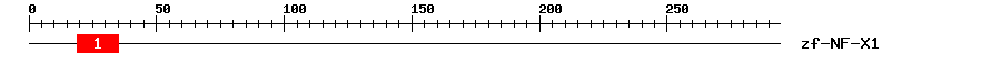 Signature Domain