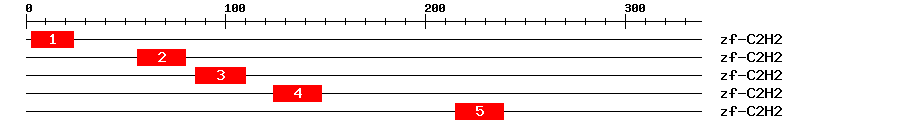 Signature Domain