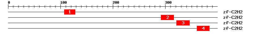 Signature Domain