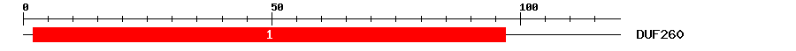 Signature Domain