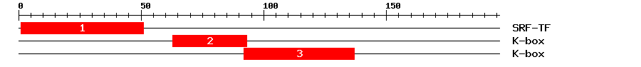 Signature Domain