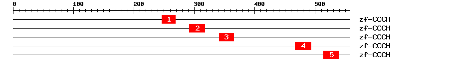 Signature Domain
