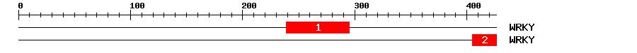 Signature Domain