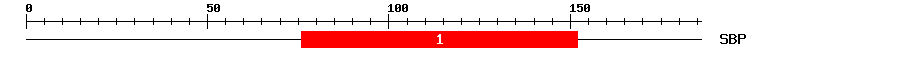 Signature Domain