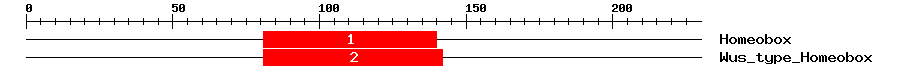 Signature Domain