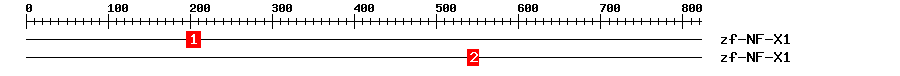 Signature Domain