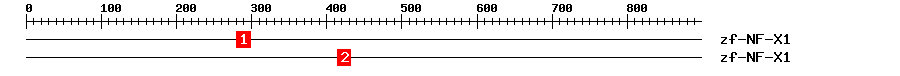 Signature Domain