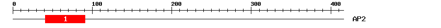 Signature Domain