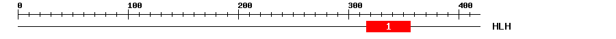 Signature Domain