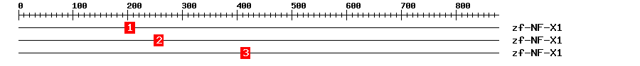 Signature Domain