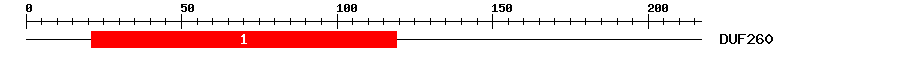 Signature Domain