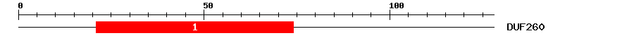 Signature Domain