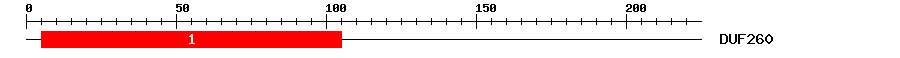 Signature Domain