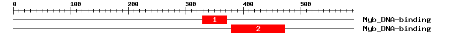 Signature Domain