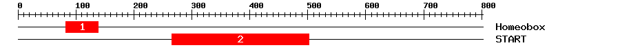 Signature Domain
