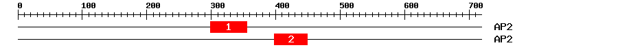 Signature Domain