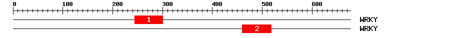 Signature Domain