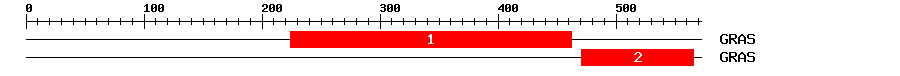Signature Domain