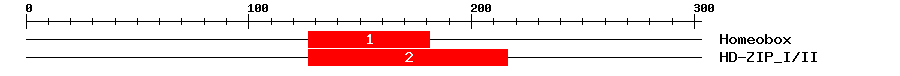 Signature Domain