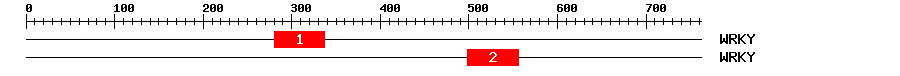 Signature Domain