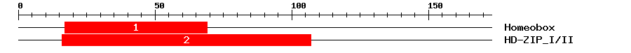 Signature Domain