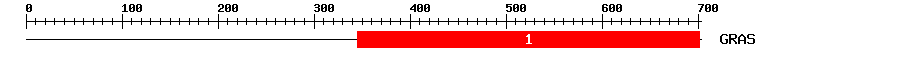 Signature Domain