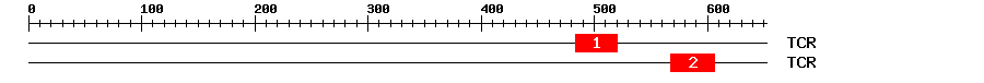 Signature Domain