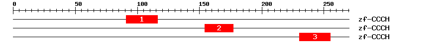Signature Domain