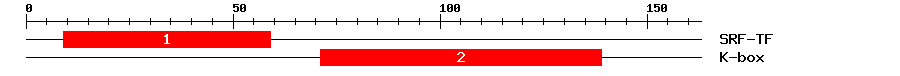 Signature Domain
