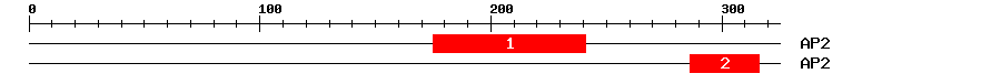 Signature Domain