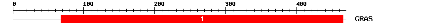 Signature Domain