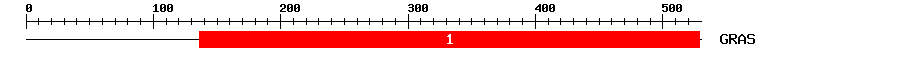 Signature Domain